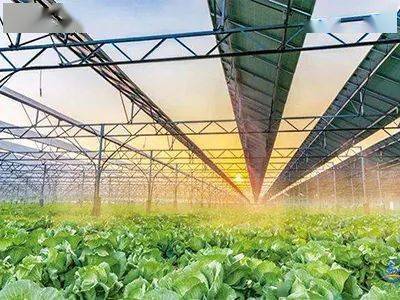 現代種業、鄉村新型服務業&hellip;國家鄉村振興局鼓勵社會資本投資這些涉農產業!