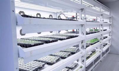 我在農(nóng)創(chuàng)等你來(lái)丨宋娜:雙向奔赴謀發(fā)展,同頻共振向未來(lái)