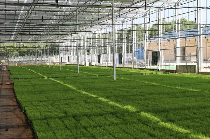 【大國&ldquo;糧&rdquo;策】南京高淳:打造&ldquo;金扁擔&rdquo;助力農業現代化高質量發展