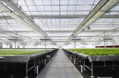 沈陽,一個意想不到的農業大市