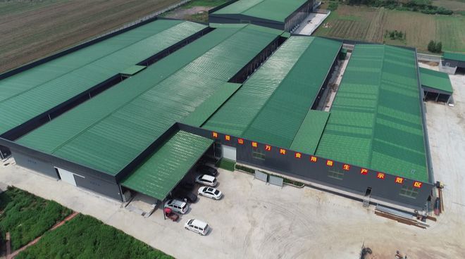 【鄉村】青要山鎮:特色產業助農增收致富