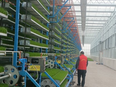 新農(nóng)人(69)|春耕盡顯"科技范"!這座智能育秧工廠的"管家"就是他