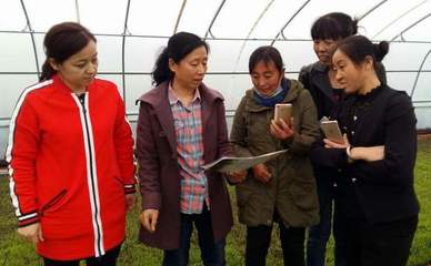 我校農(nóng)業(yè)科技創(chuàng)新服務(wù)團隊深入基層服務(wù)百姓