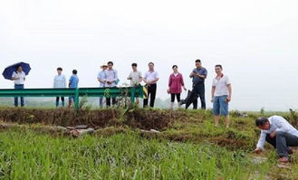 湖南省農業科學院專家來湘潭縣開展抗災減損科技服務工作