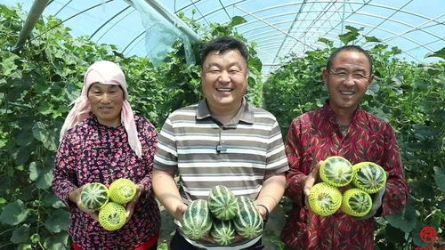 高官寨街道名優(yōu)特農(nóng)產(chǎn)品亮相2024章丘區(qū)特色產(chǎn)品展銷推介會