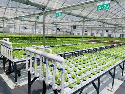 補(bǔ)貼上百萬!數(shù)字農(nóng)業(yè)工廠:智能化、自動(dòng)化的農(nóng)業(yè)生產(chǎn)新模式