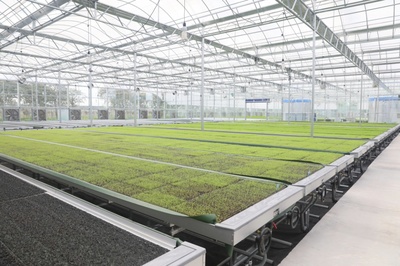 ?金山這個(gè)智聯(lián)植物工廠科技范十足!