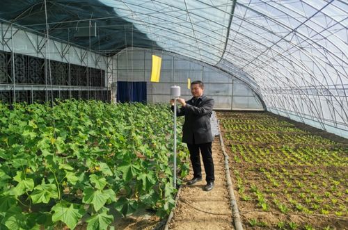 一年之計在于春，農氣聯手促增收：農業科技服務的創新與展望