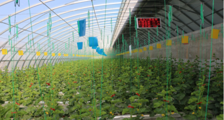 聚焦農(nóng)業(yè)科技服務 助推現(xiàn)代農(nóng)業(yè)發(fā)展的關(guān)鍵引擎