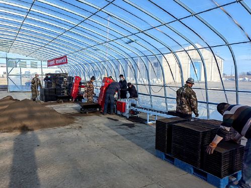 北大荒農(nóng)業(yè)股份勤得利分公司工廠化育秧 科技助力春耕節(jié)本增效