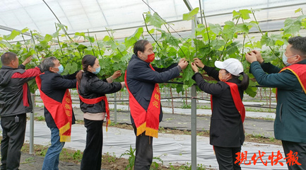 鹽城勞模愛心團隊 科技助農，護航春耕防疫“兩不誤”
